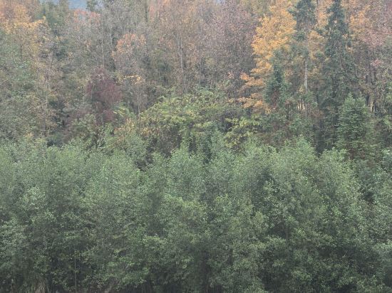 全季飯店（黃山黟縣宏村風景區店）優惠