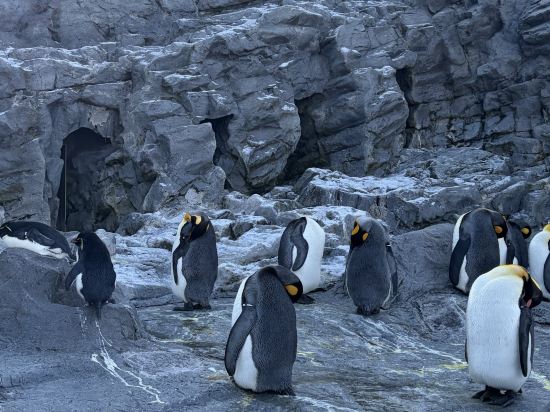ホテルアマネク旭川　展望浴場「四季の湯」 クーポン