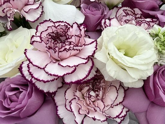 重慶Indition英迪遜高空酒店優惠