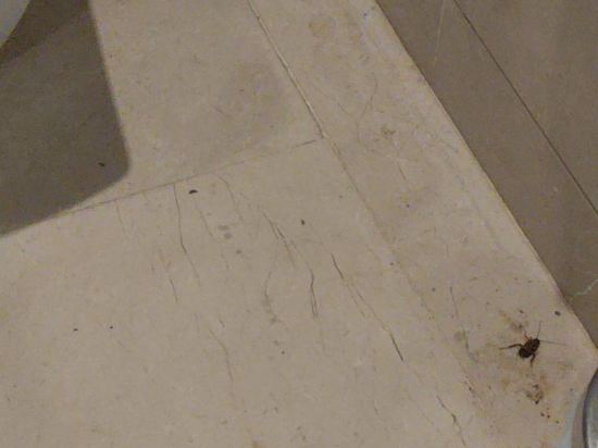 珠海格力東澳大酒店優惠