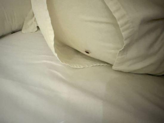 梅里茨酒店優惠