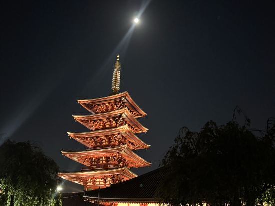 天然温泉 凌雲の湯 御宿 野乃 浅草 クーポン