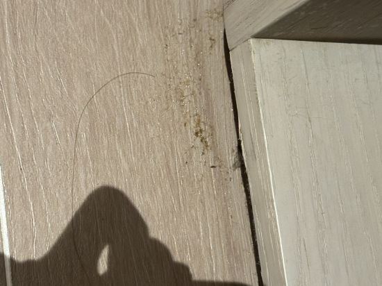 深圳南山希爾頓逸林酒店及公寓優惠