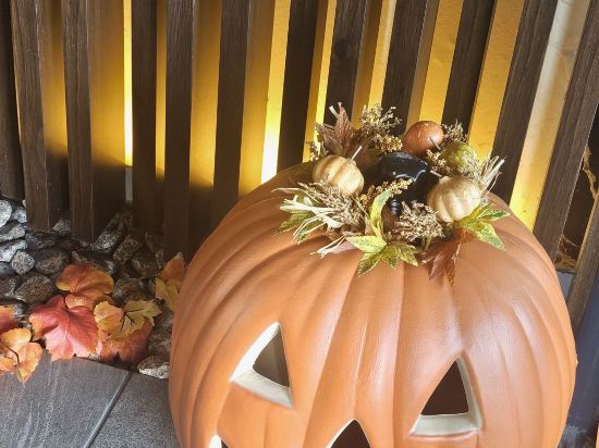 MYSTAYS 富士山展望温泉酒店優惠