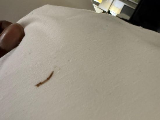 朱麗斯曼徹斯特酒店優惠