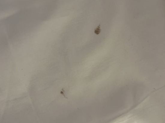 コートヤード・マリオット 銀座東武ホテル クーポン