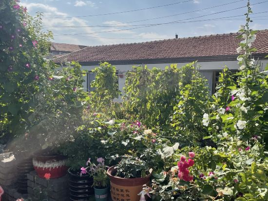 多倫吉嘉賓館優惠