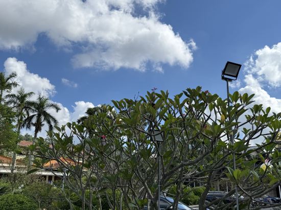 中山温泉賓館優惠