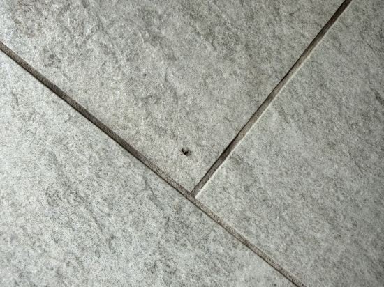 蘇梅島金普頓基塔蕾度假飯店 - 洲際飯店集團旗下優惠