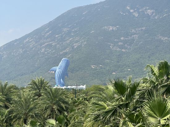 珠海根本家日系民宿優惠