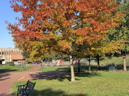 温莎城堡酒店 - 美憬閣酒店優惠