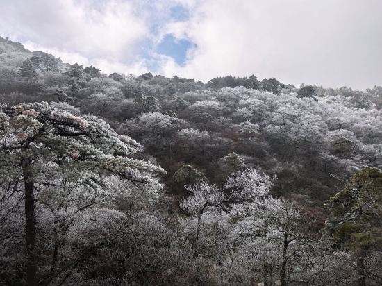 黃山獅林大酒店優惠