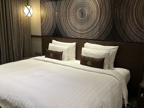 台北阿樹國際旅店優惠