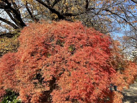 秋葉原ワシントンホテル クーポン