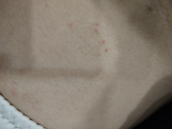 熱浪島塔拉斯海灘和水療度假村優惠