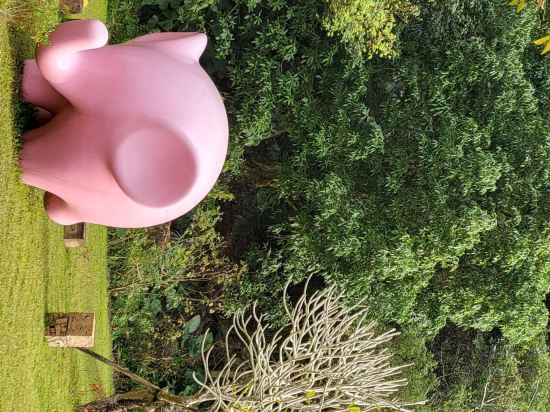 宜蘭有朋會館優惠