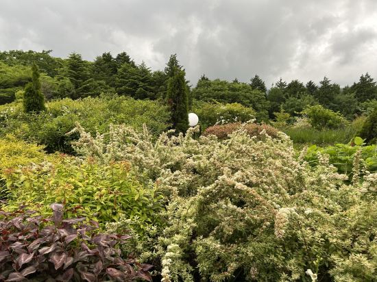 ホテルグリーンプラザ箱根 クーポン