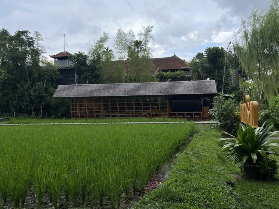 烏布阿賴耶度假村優惠