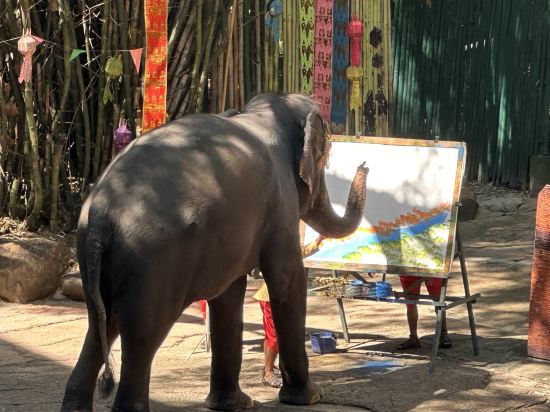 曼谷客萊福雅秀飯店優惠