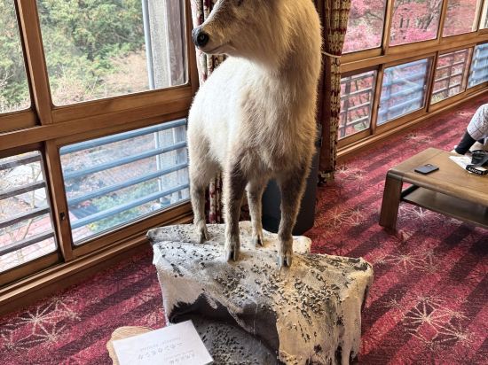 下呂溫泉 湯之島館優惠