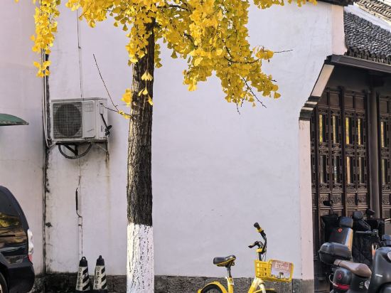 杭州維景國際大酒店優惠