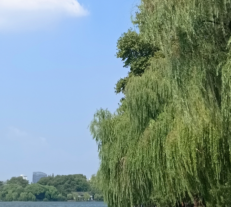 博凱西湖酒店（杭州湖濱店）優惠