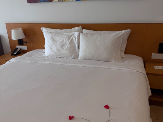 金蘭瑟勒頓諾亞度假村優惠