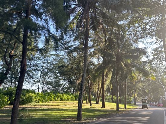萬寧神州半島雲想海景公寓優惠