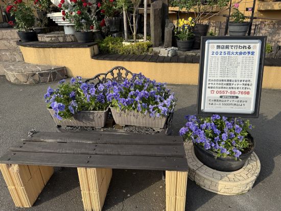 星野リゾート 界 アンジン クーポン