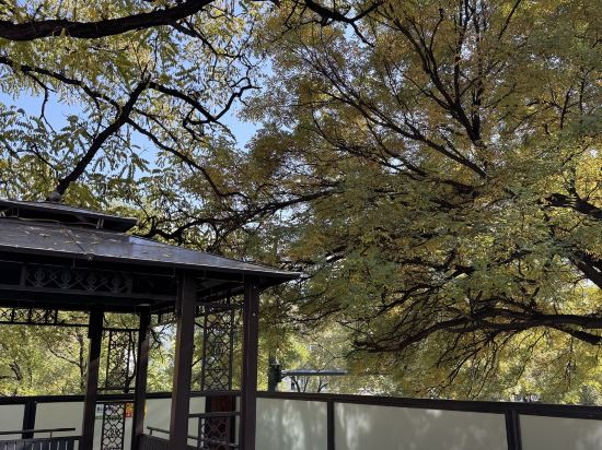 富潤 · 璟院 （北京王府井東四店）優惠