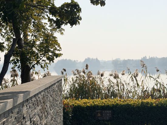 中信泰富朱家角錦江飯店優惠