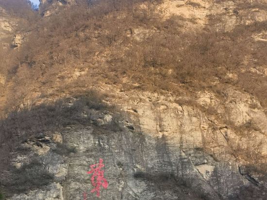 武當山金頂貴賓樓（金頂景區店）優惠