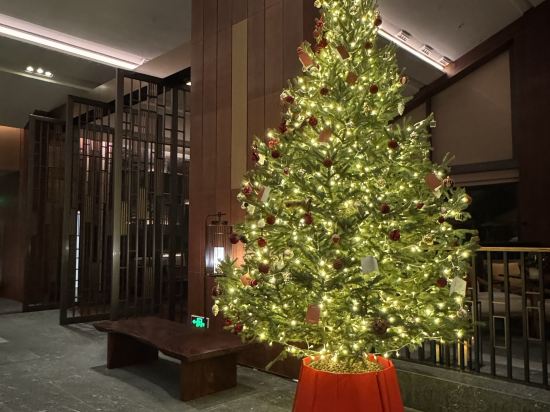 清遠芊麗酒店優惠