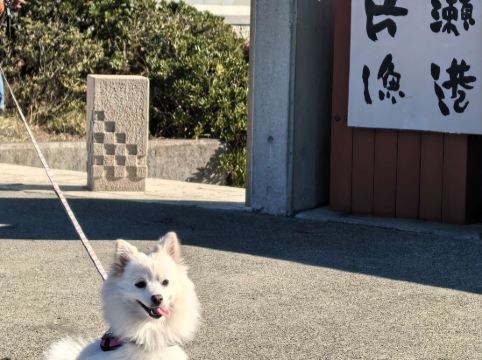 JR東日本鎌倉大船METS飯店優惠