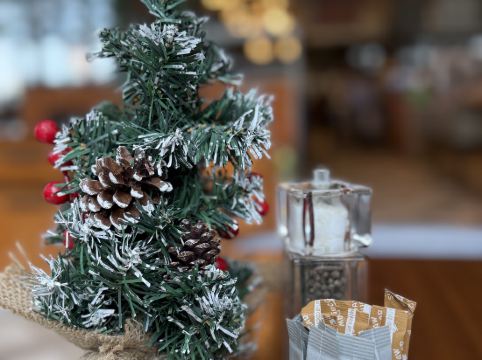 新加坡市中心索菲特酒店 （Staycation Approved）優惠