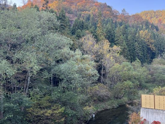 游泉　志だて クーポン