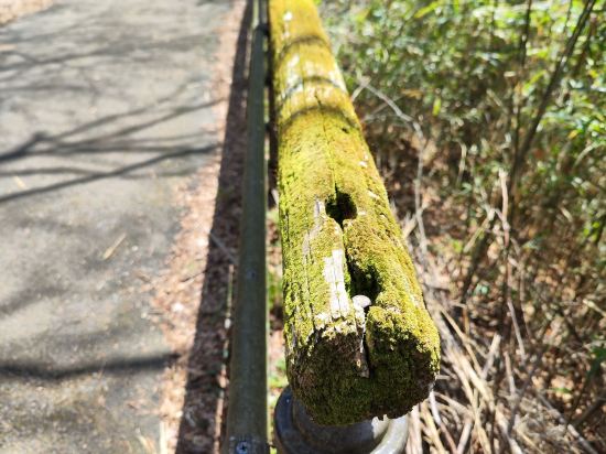 箱根強羅温泉　にごり湯の宿　桐谷箱根荘 クーポン