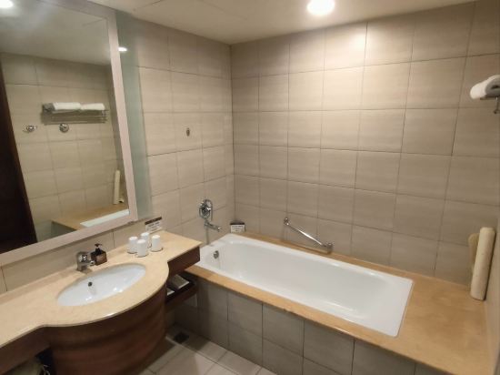 嘉義耐斯王子大飯店優惠