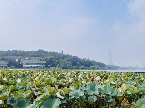 南京玄武湖假日飯店優惠
