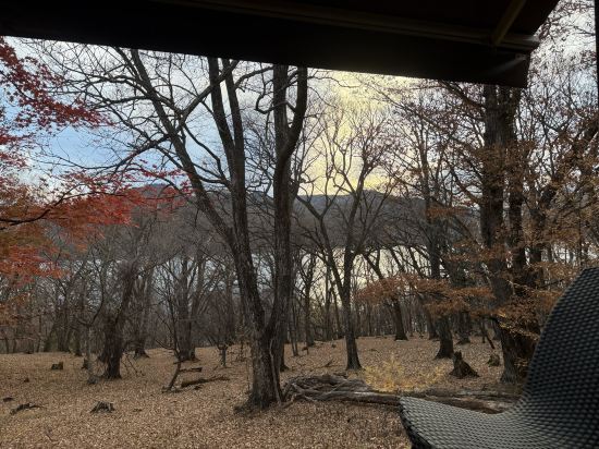 四季彩飯店優惠