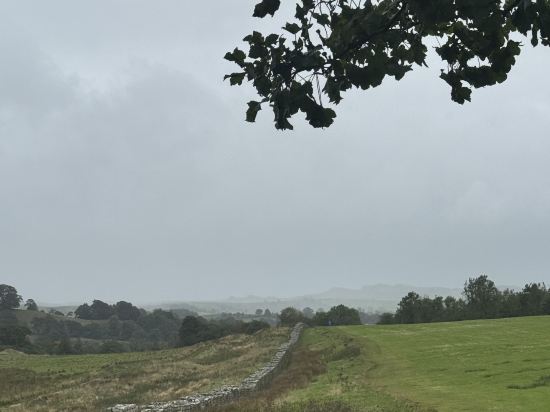 皇冠米特雷酒店優惠