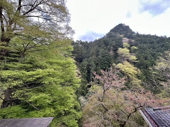 氷川郷麻葉の湯　三河屋旅館 クーポン