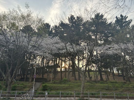 藝廊家庭旅館酒店優惠