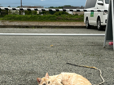 レイクヴィラ河口湖 クーポン