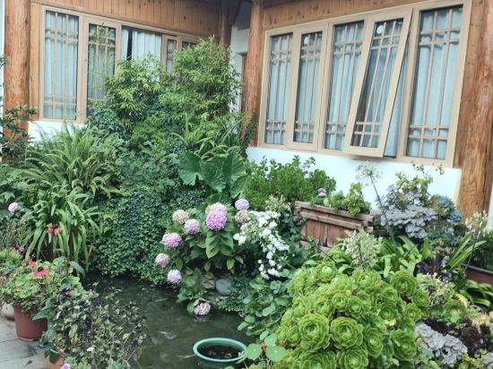 麗江花海客棧優惠