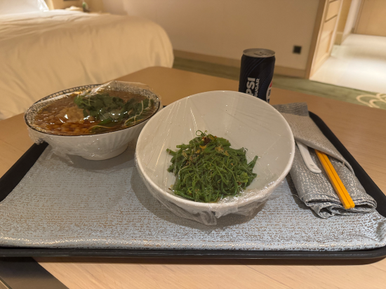 重慶富力假日飯店優惠