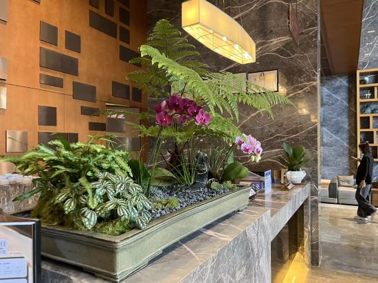 維納斯皇家酒店（佛山魁奇地鐵站店）優惠