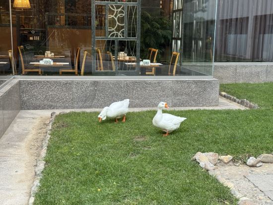 北京長富宮飯店優惠