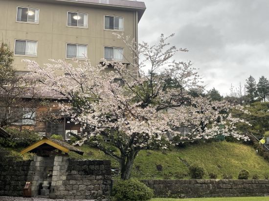 旅行人山荘 クーポン