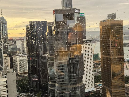 香港港麗酒店優惠